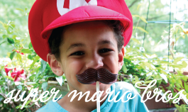 super mario bros. party