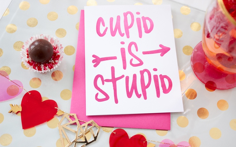 Cupid is Stupid Galentines Girl's Night Valentine's Day Ideas from AmysPartyIdeas.com & #swoozies