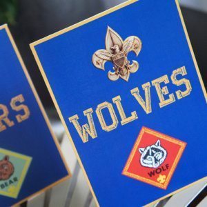 Cub Scout Blue & Gold Ceremony Rank Signs - Scout Blue & Gold Ceremony Party Ideas & Supplies