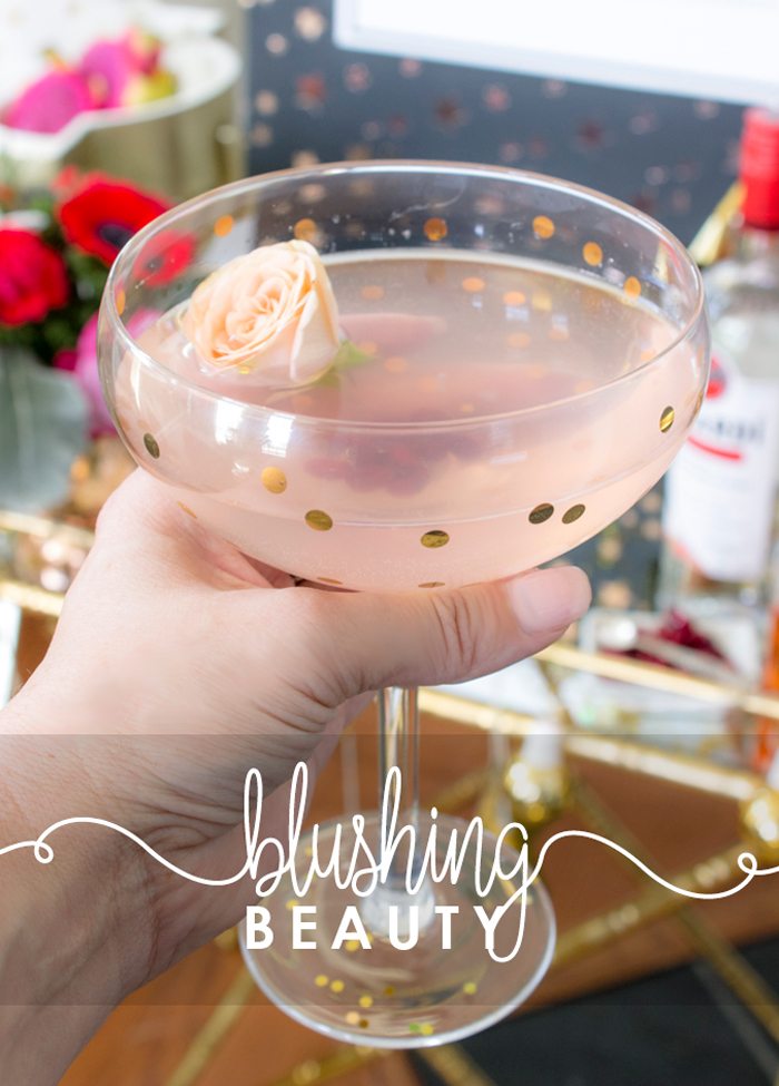 Msg 4 21+ Awards Viewing Party Ideas with FREE PRINTABLES | Girl's Night In Party Ideas from AmysPartyIdeas.com | #SignatureSips #CollectiveBias
